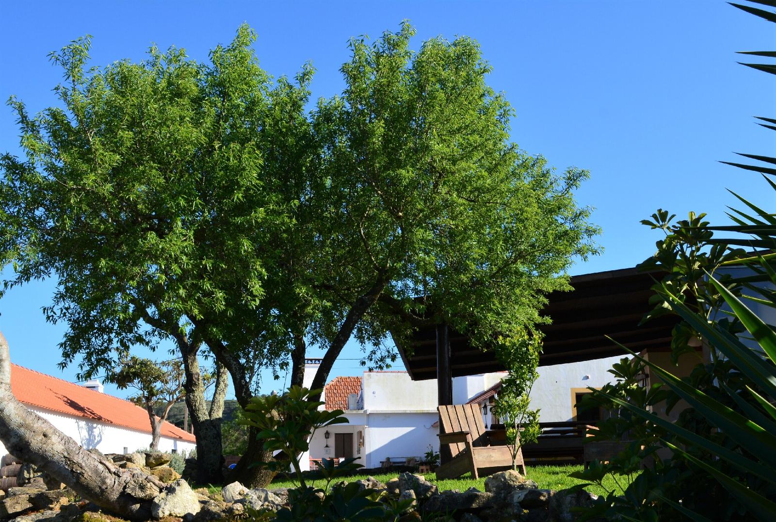 Quinta Do Tio Viagem