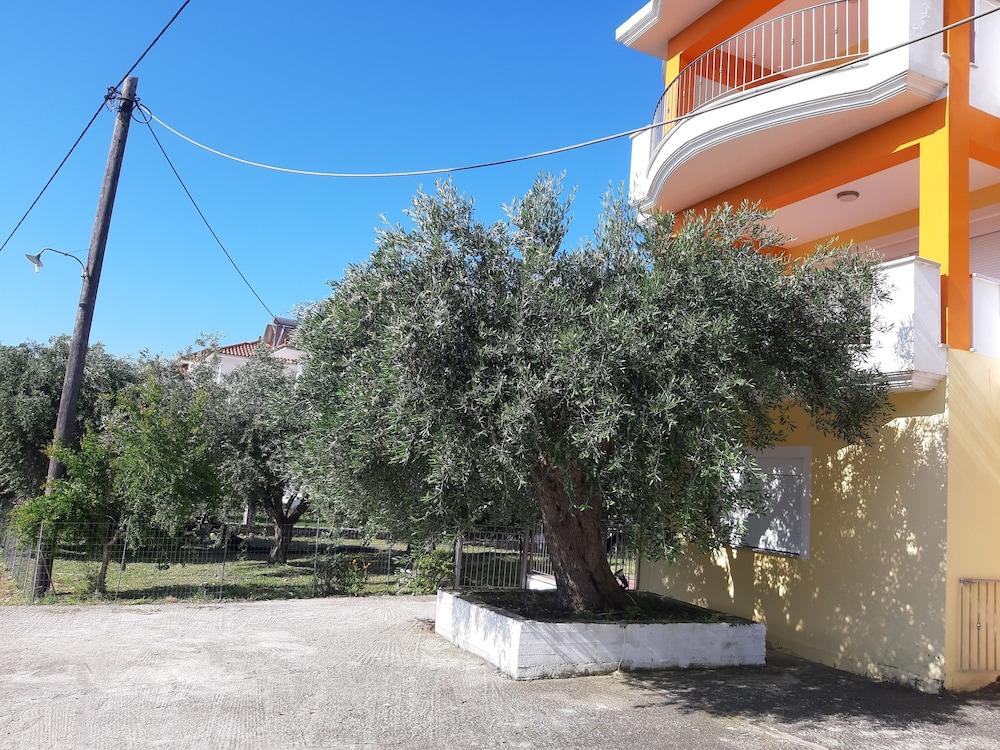 Olive Tree Apartments