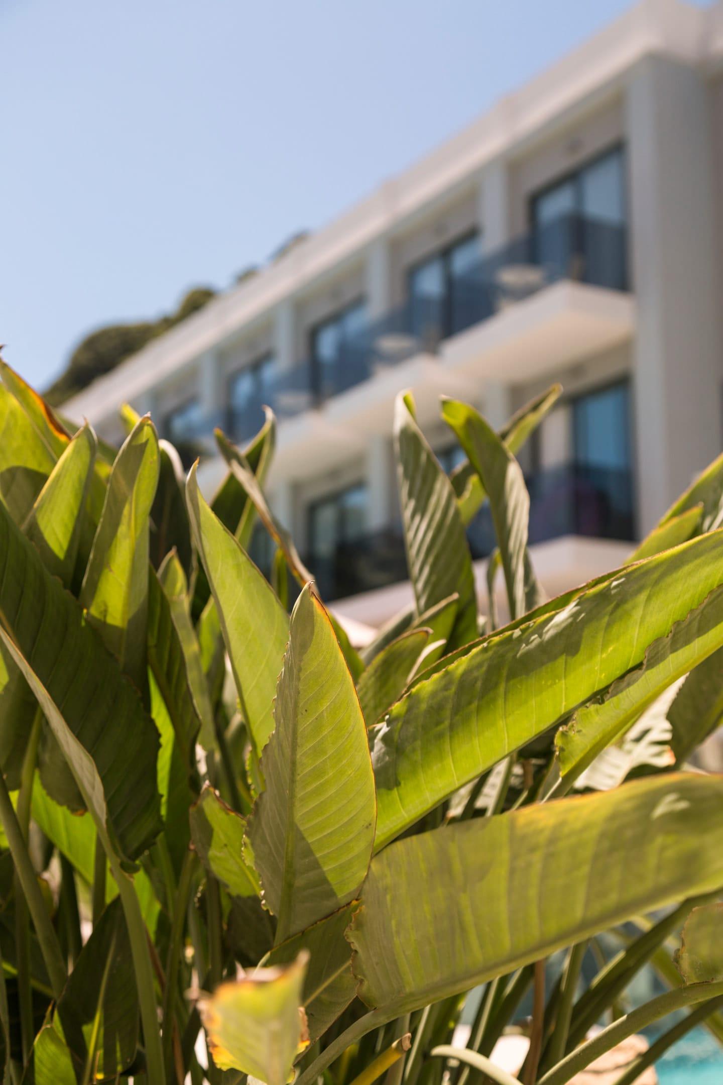 Samian Mare Hotel and Suites