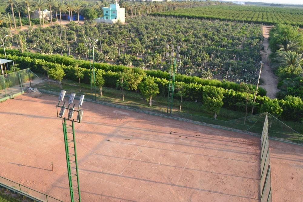Green Desert Hotel