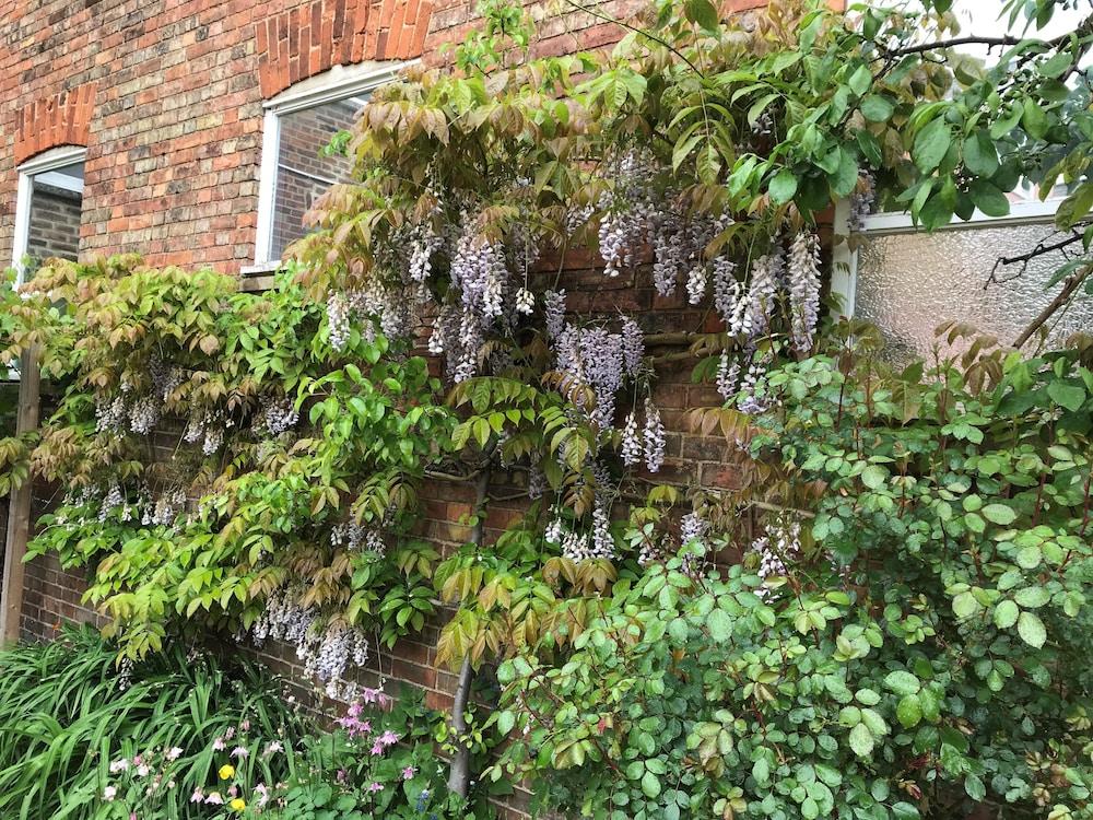 The Old Bookbinders Retreat