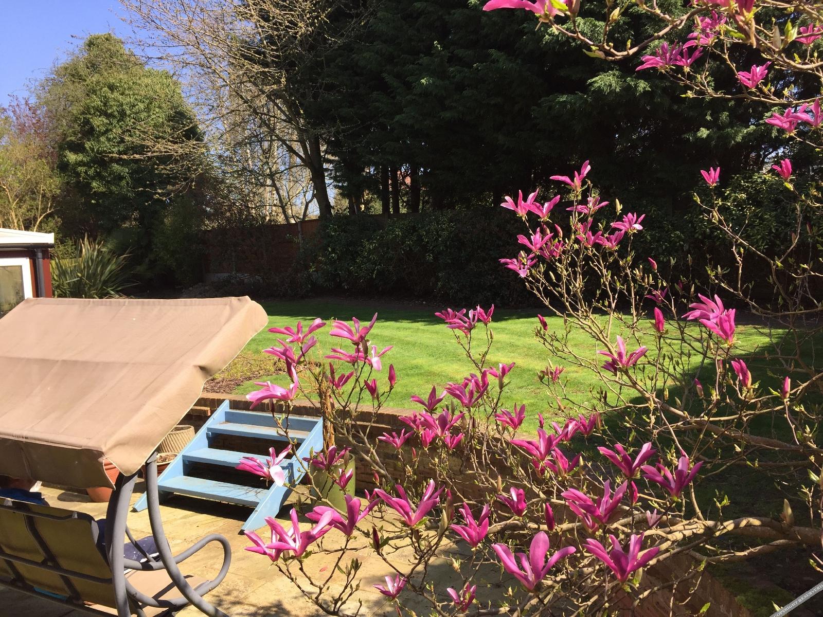 Riseden Bed And Breakfast