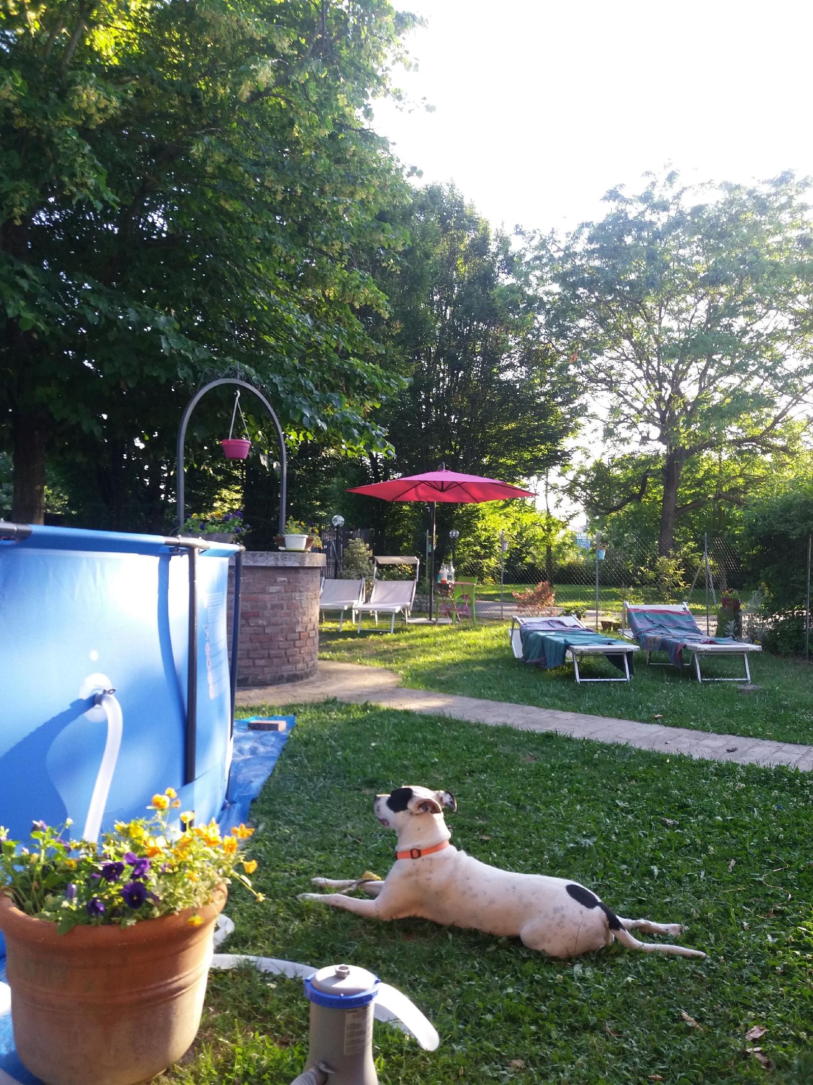 B&B Un Mondo A Colori