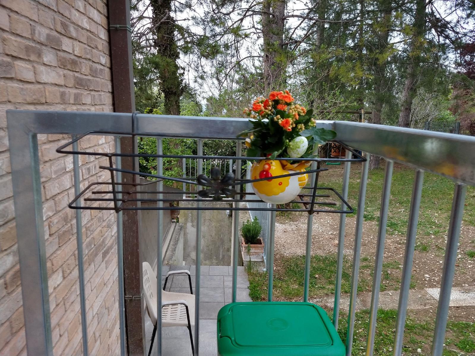 B&b Il Torchio-Urbino