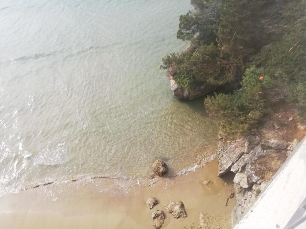 Albachiara