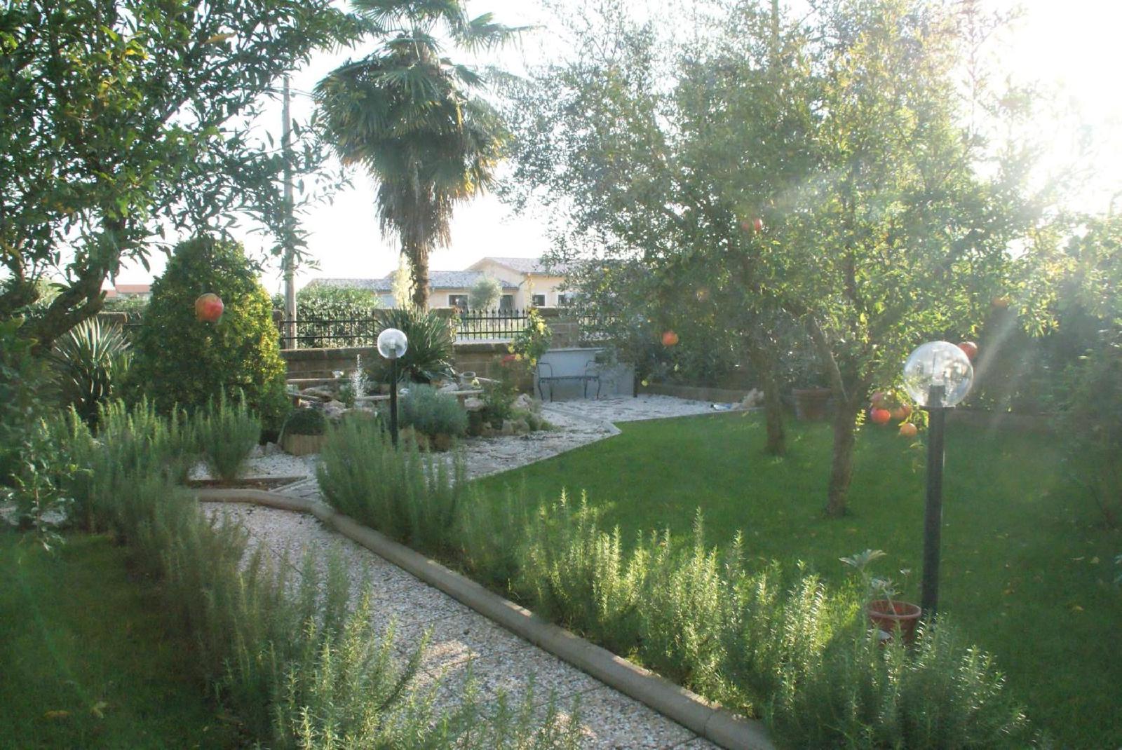 B&B Degli Ulivi