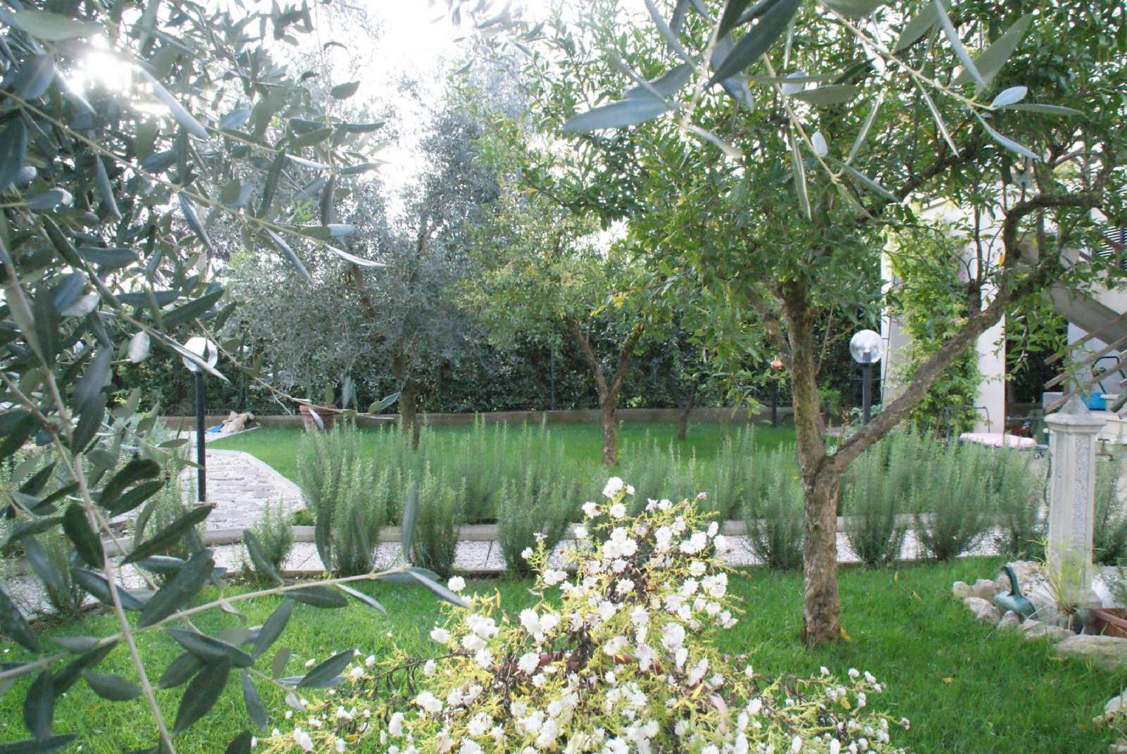 B&B Degli Ulivi
