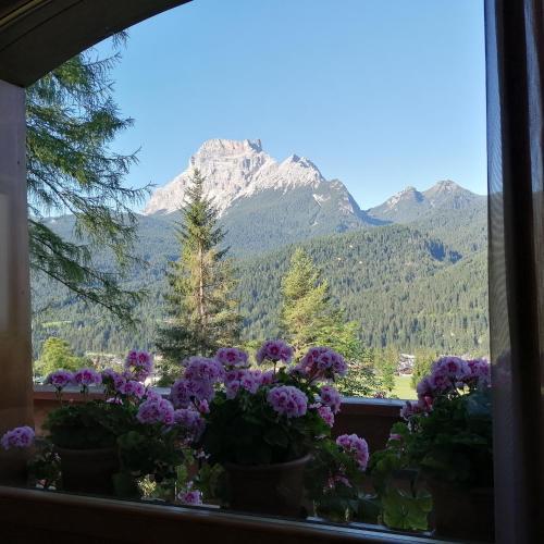 Hotel Il Cardo
