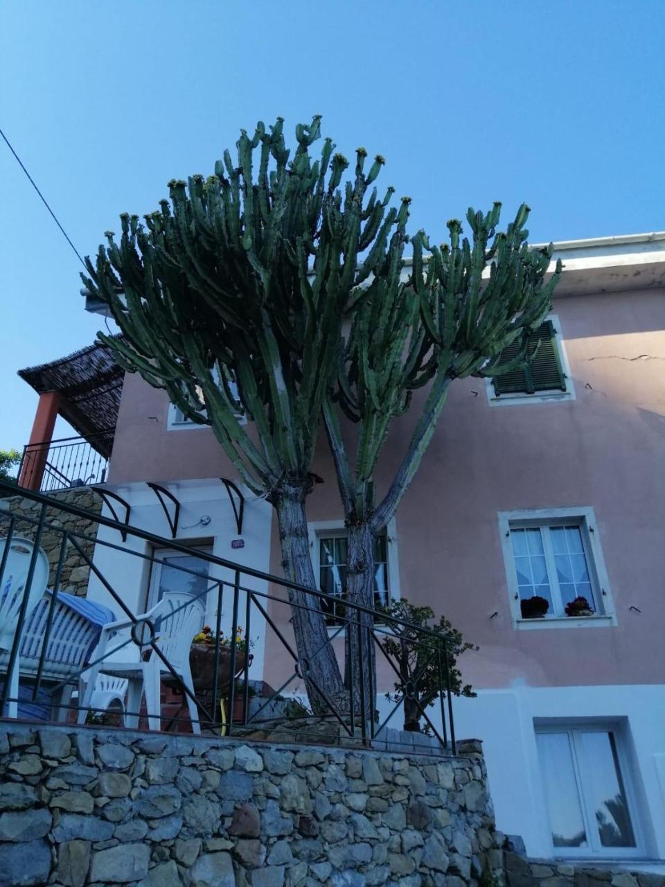 Agriturismo Un Mare Di Fiori
