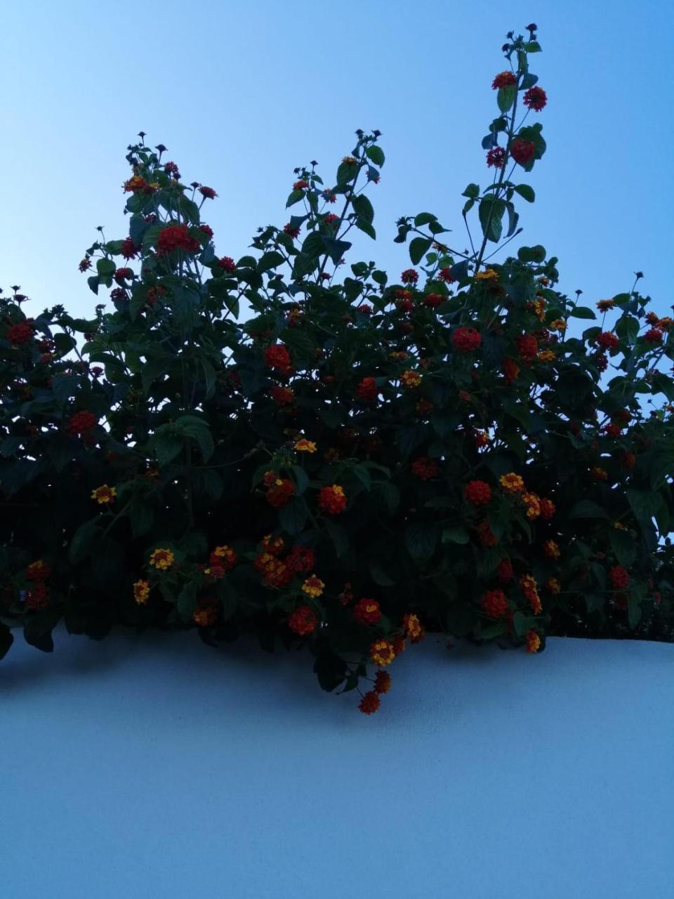 Agriturismo Un Mare Di Fiori