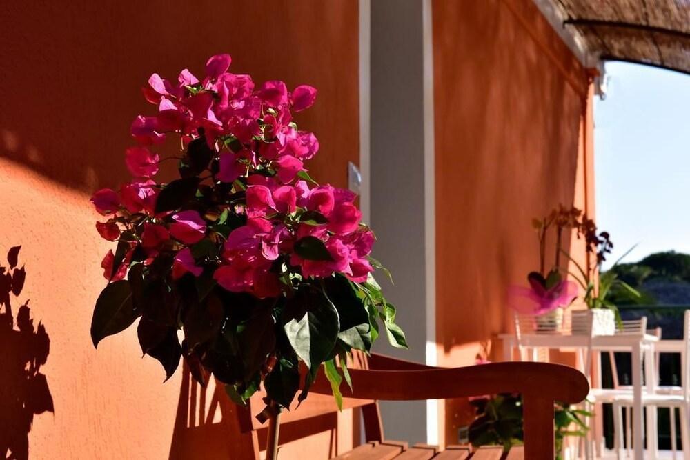 Agriturismo Un Mare Di Fiori