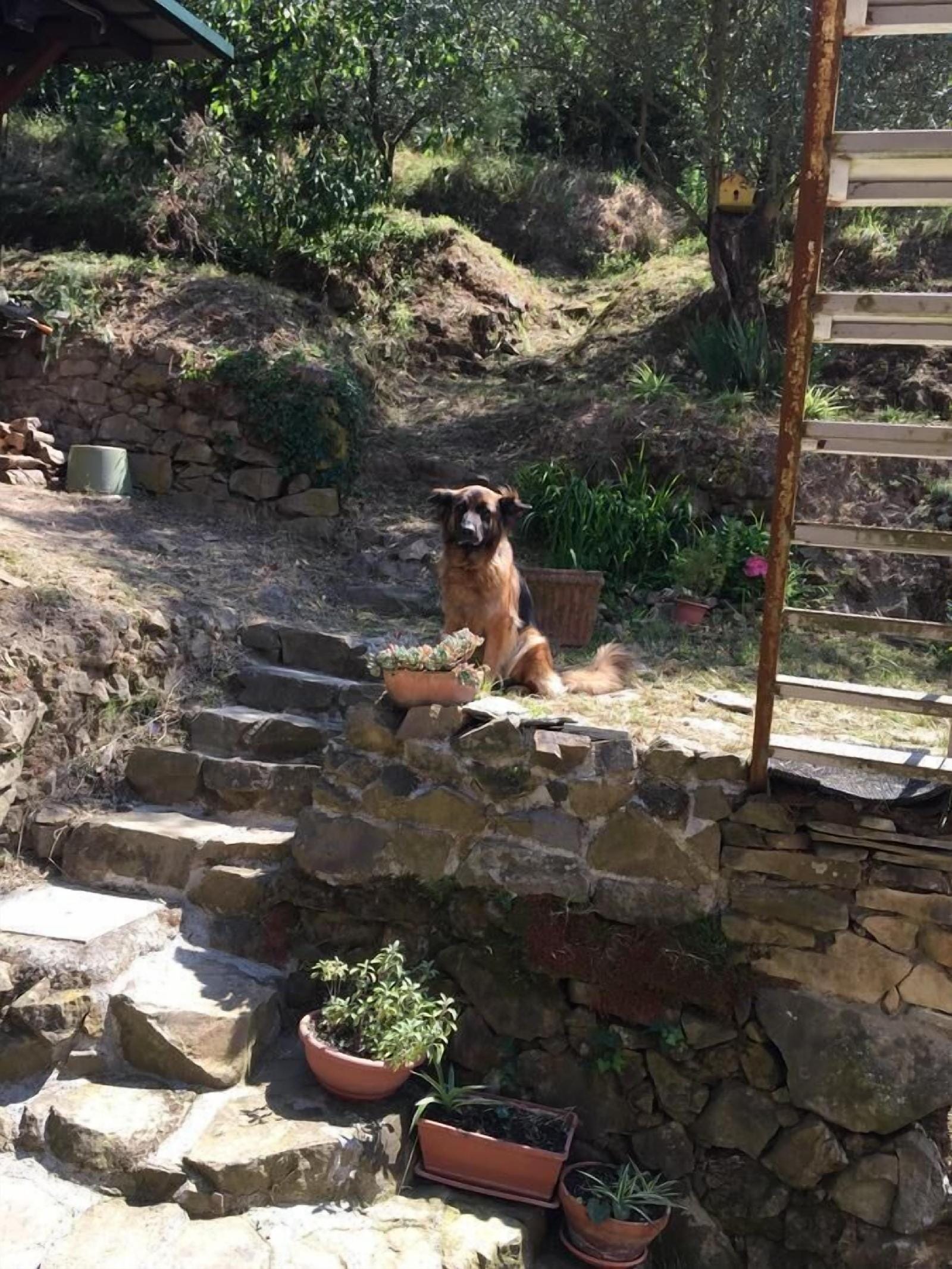 Il Capriolo Bed&Breakfast