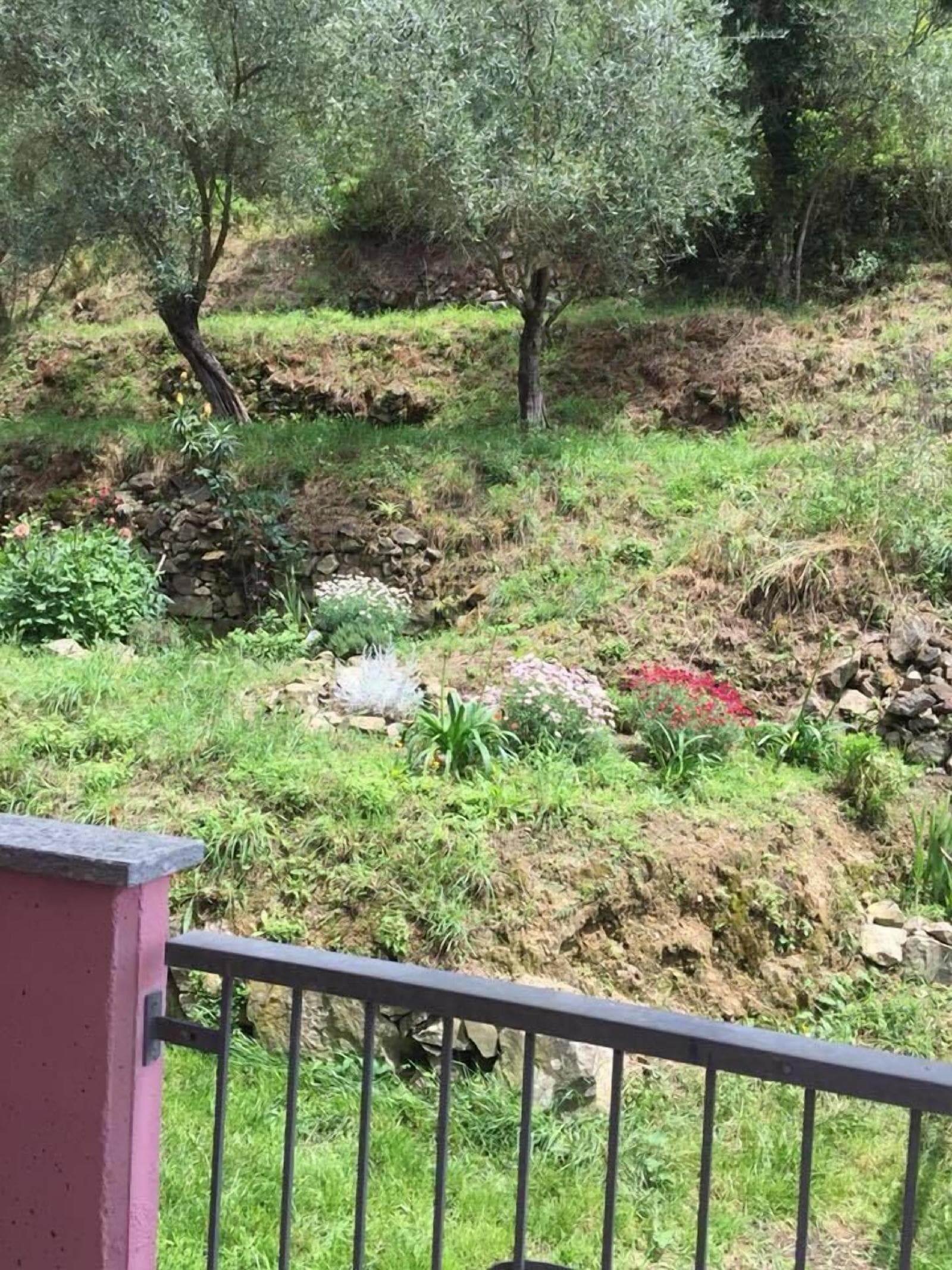 Il Capriolo Bed&Breakfast