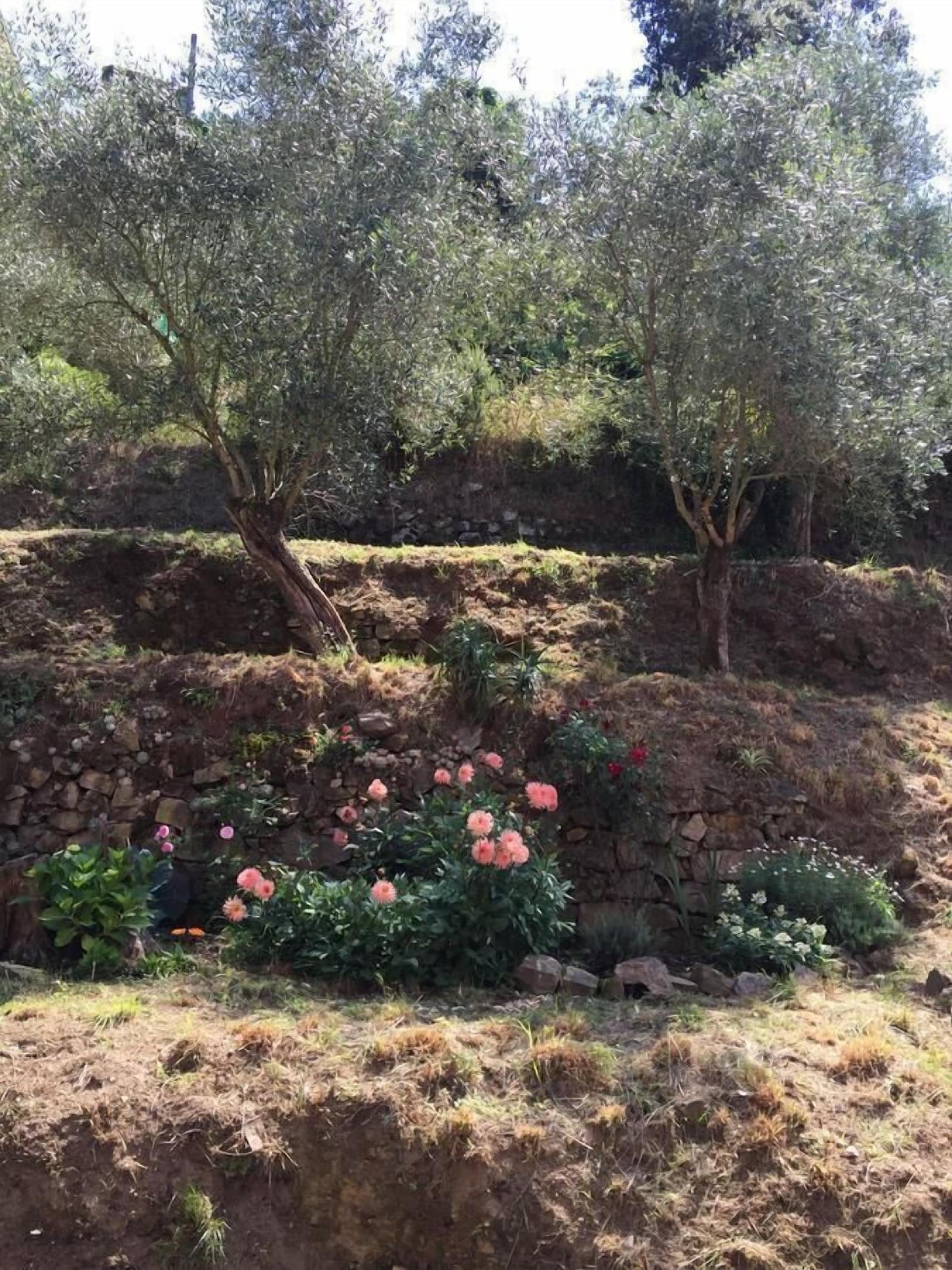 Il Capriolo Bed&Breakfast