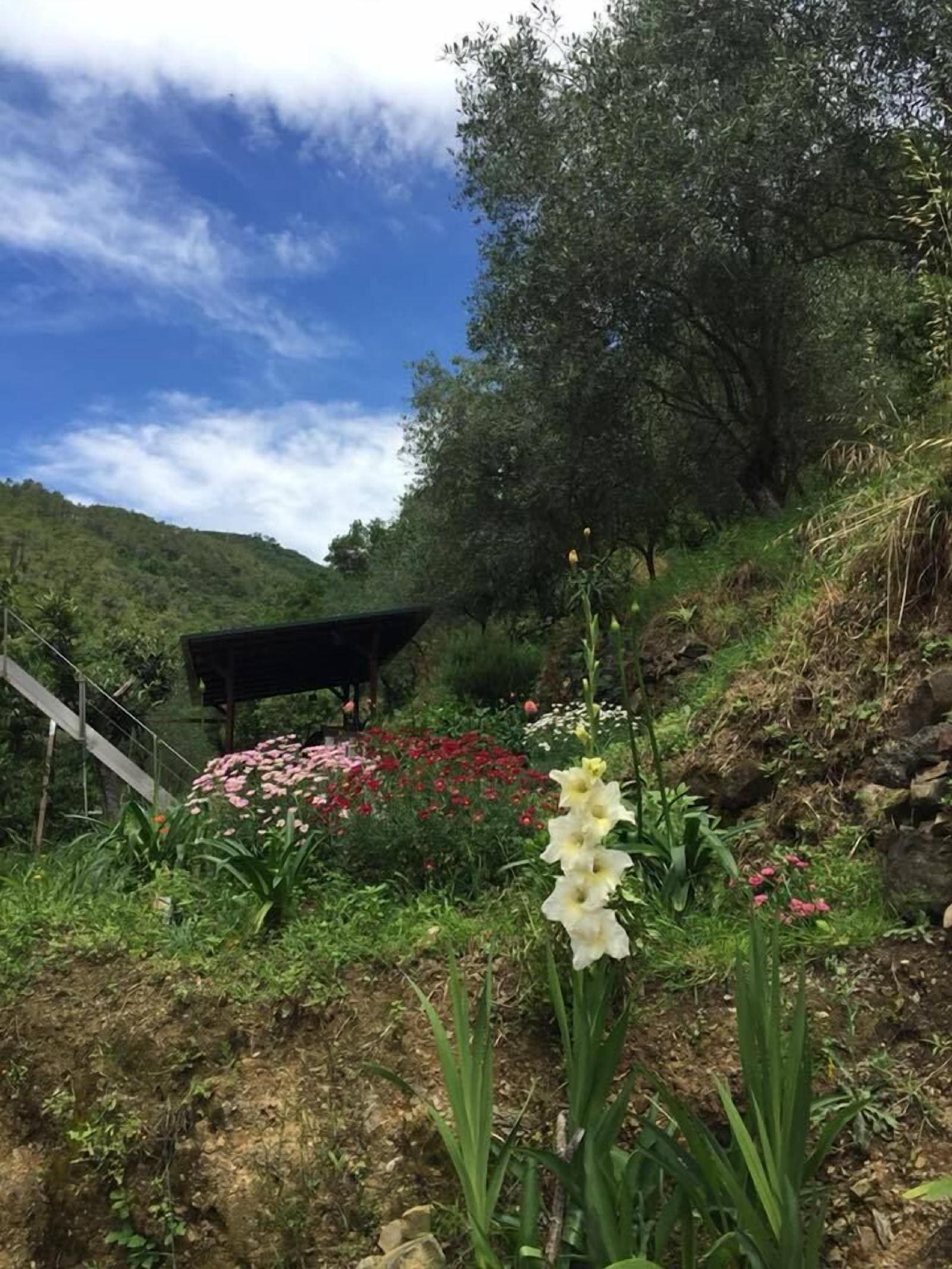 Il Capriolo Bed&Breakfast