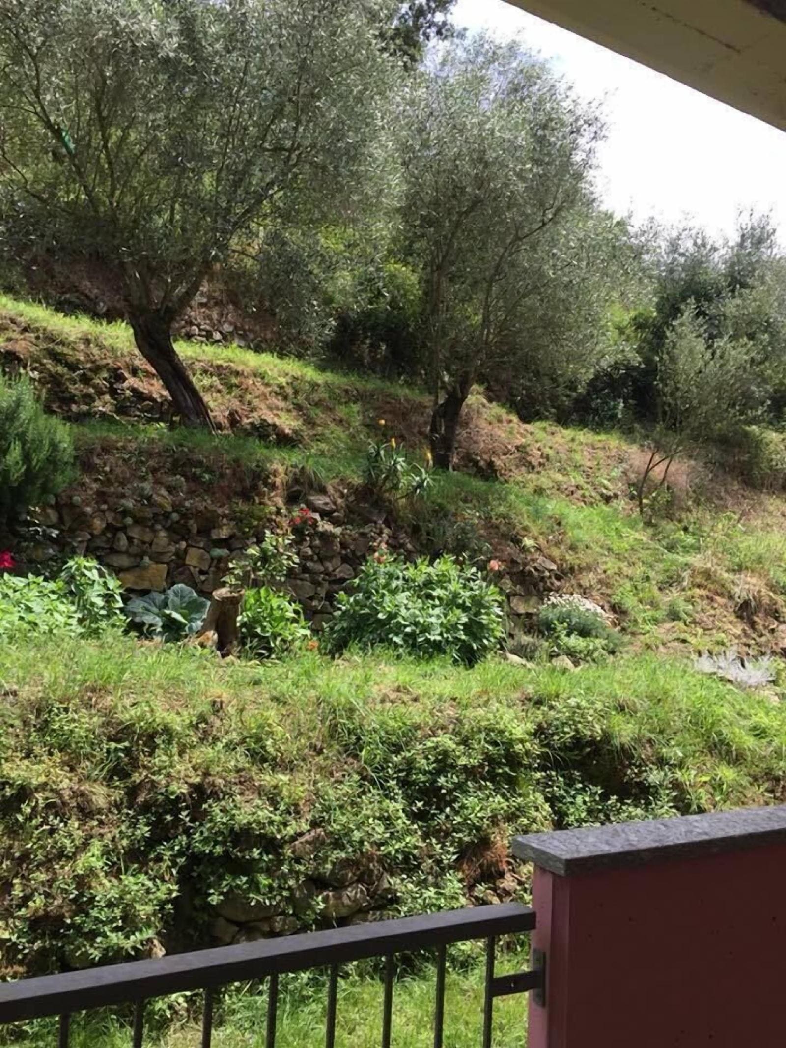 Il Capriolo Bed&Breakfast
