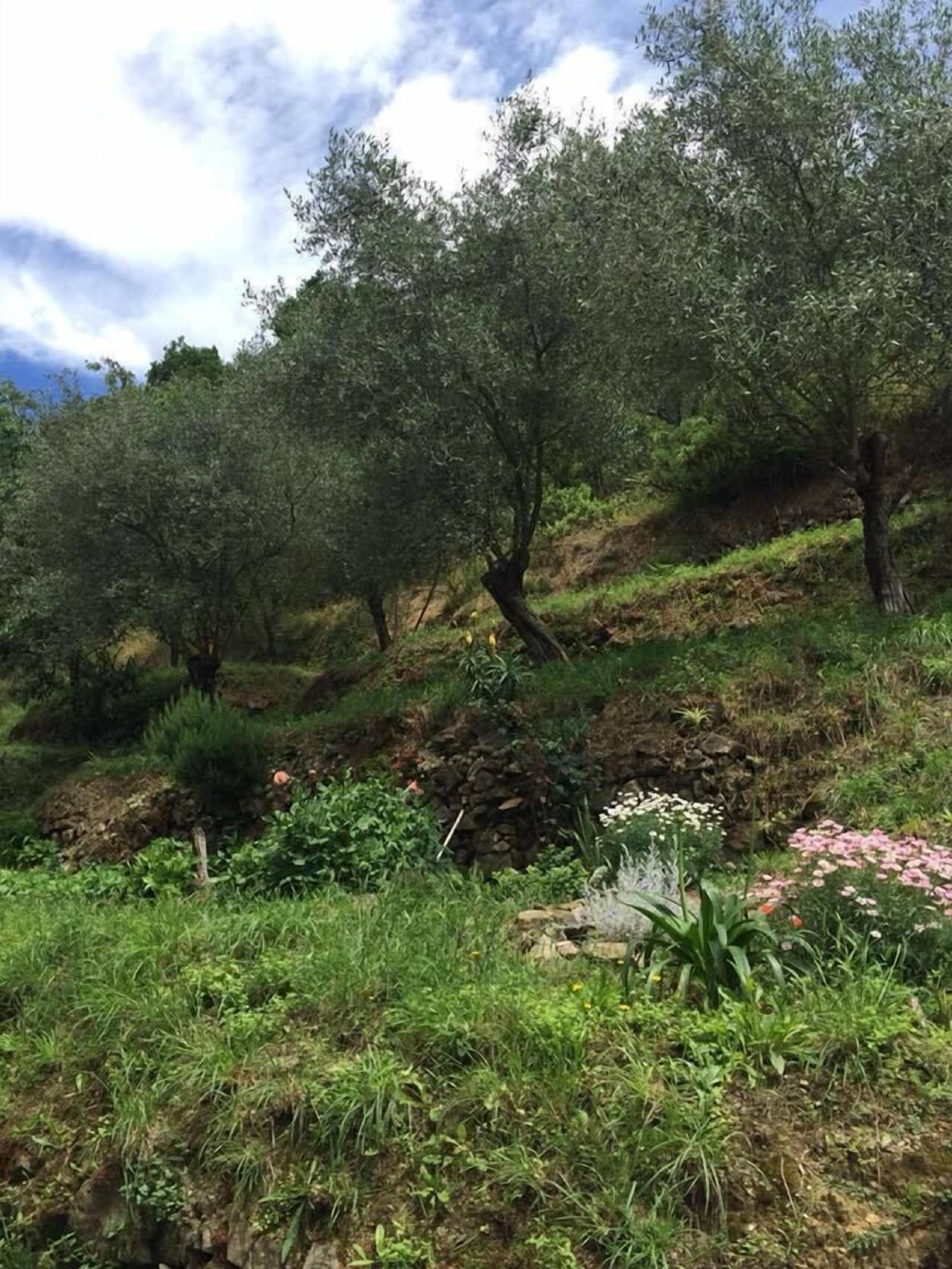 Il Capriolo Bed&Breakfast