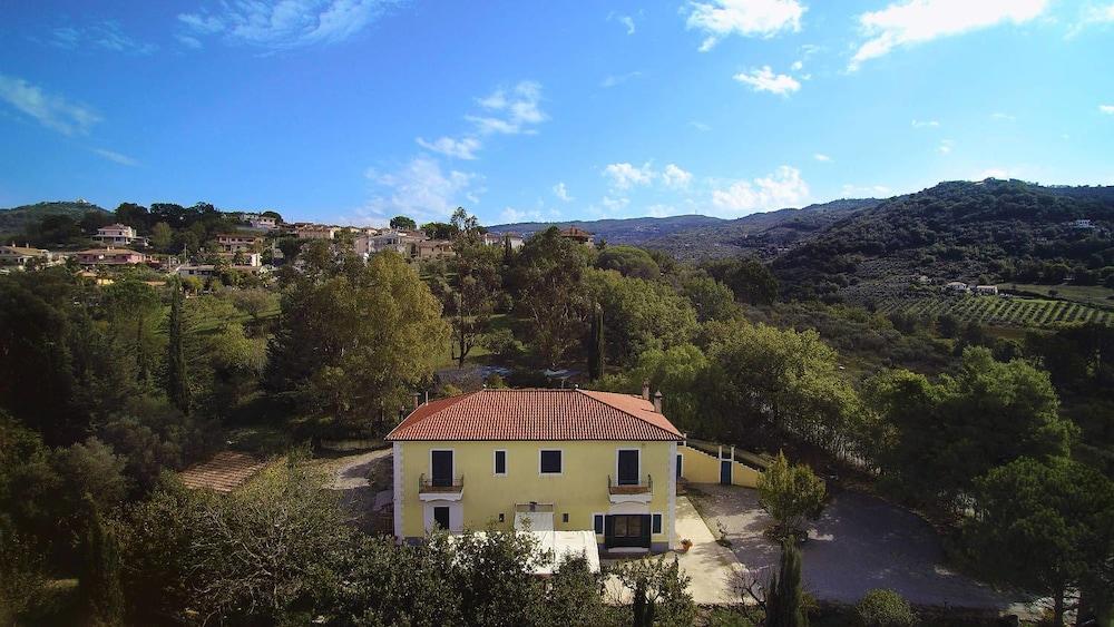 Lamione Da Dorotea