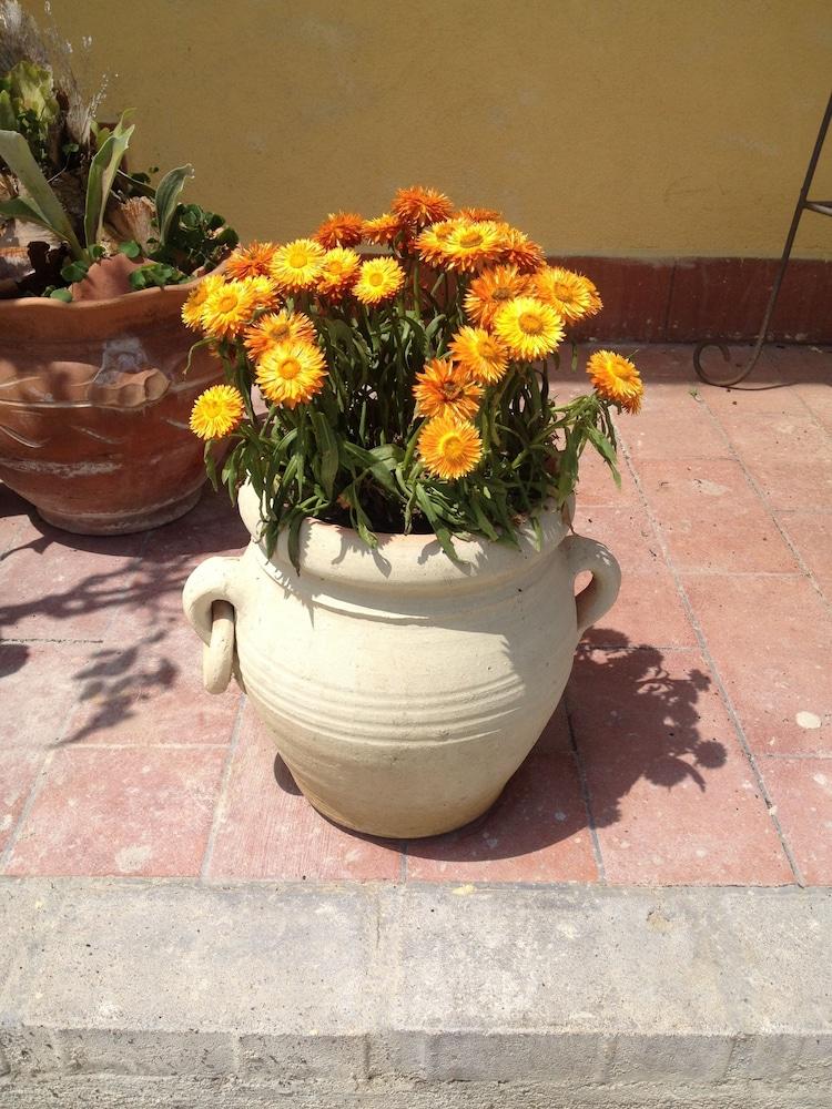B&B Il Giardino Sul Mare