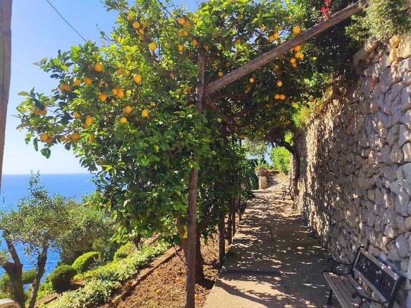 Villa Blue Grotto Bay