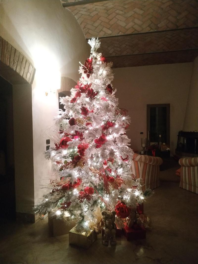 B&B Villa Delle Palme