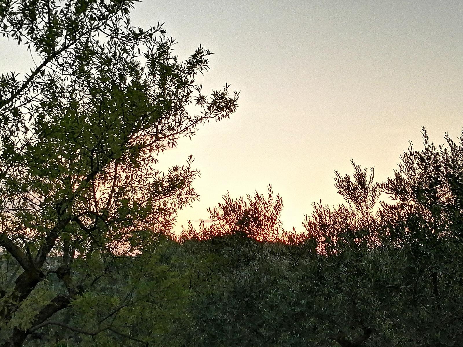 B&B Villa Milena