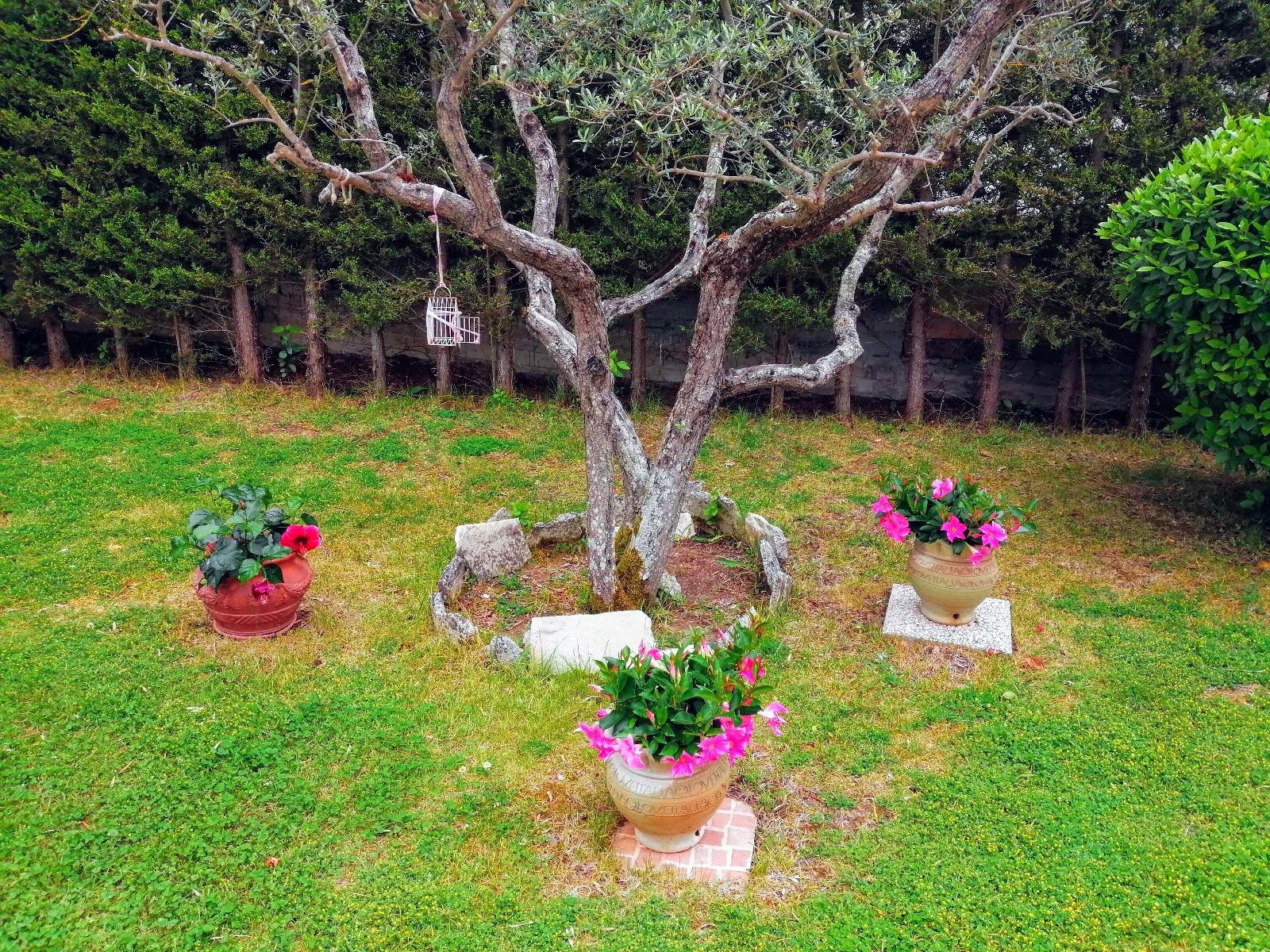 B&B Villa Milena