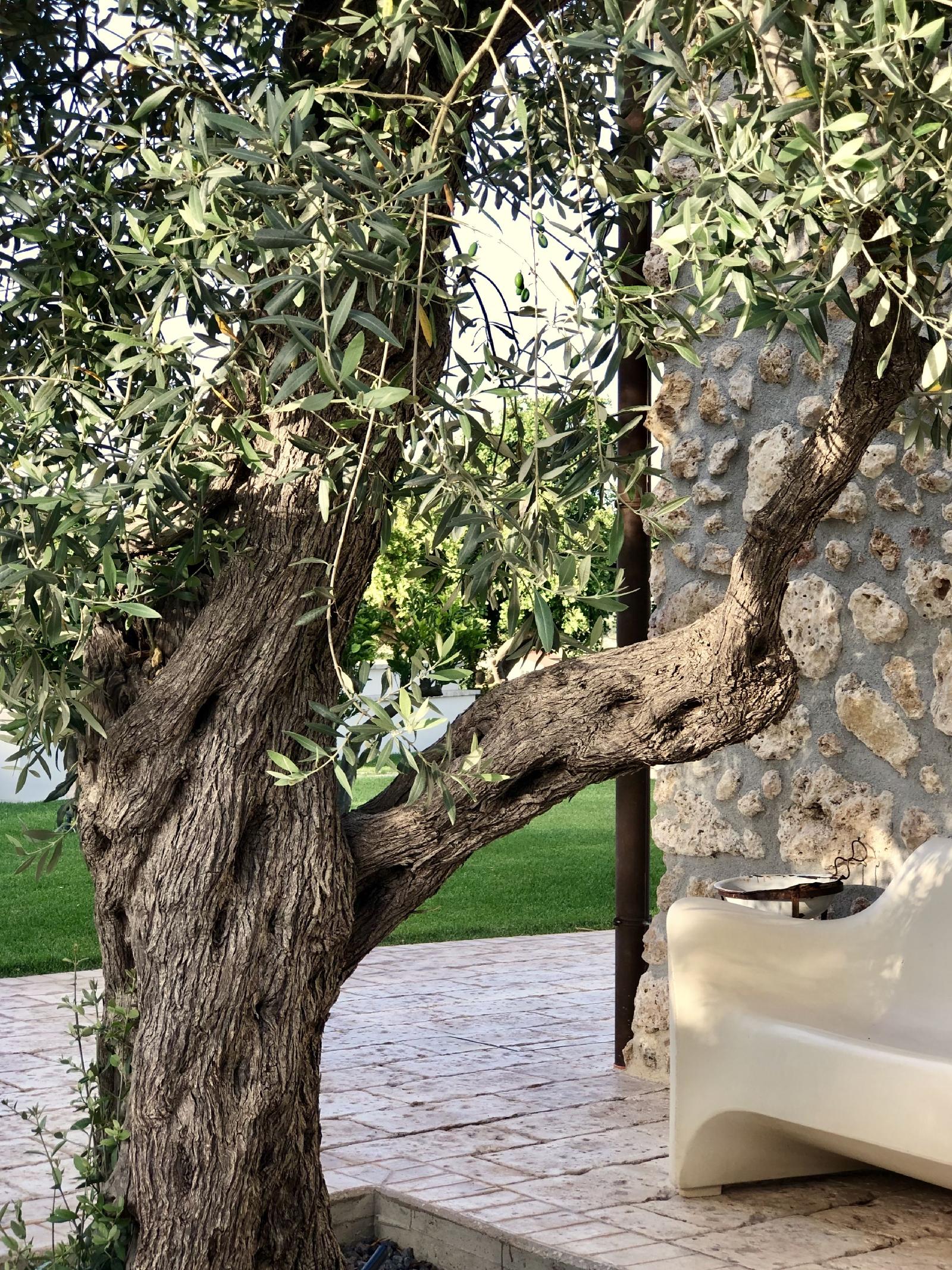 Oikos At Terre Di Zaccanello