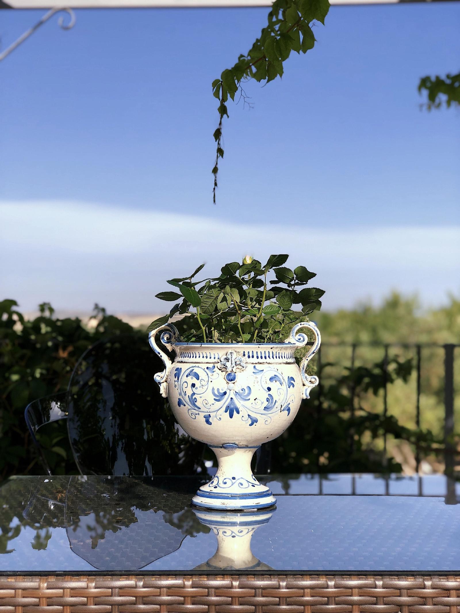 Oikos At Terre Di Zaccanello