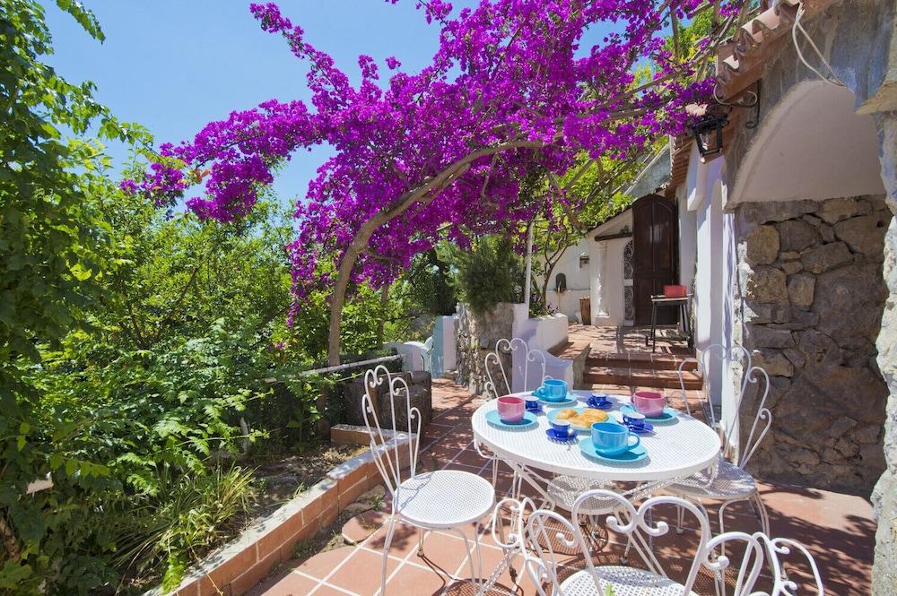 Casa Albatros