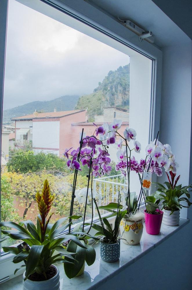 Praja vecchia