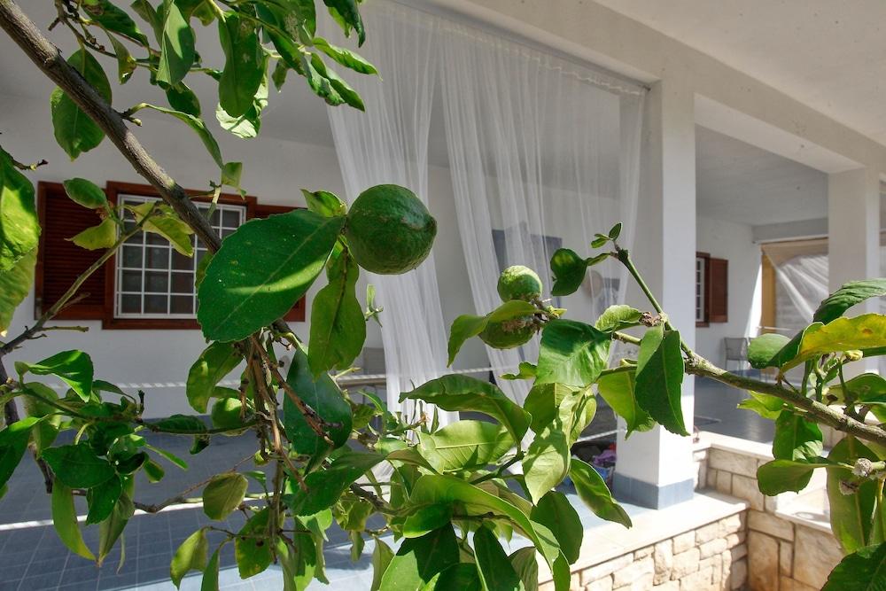 B&B Villa Al Mare