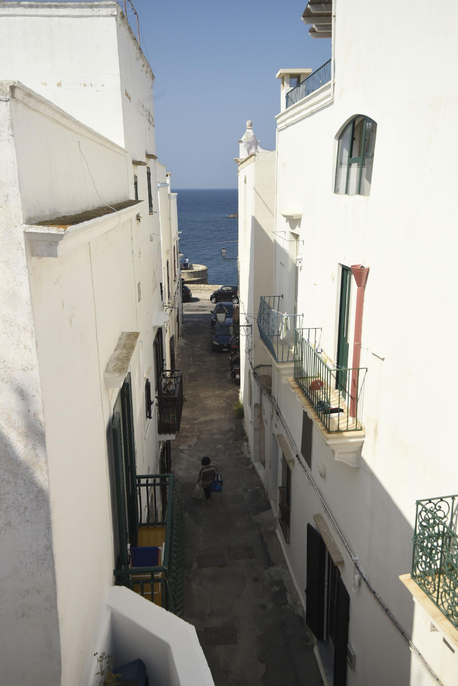 B&B Fiore
