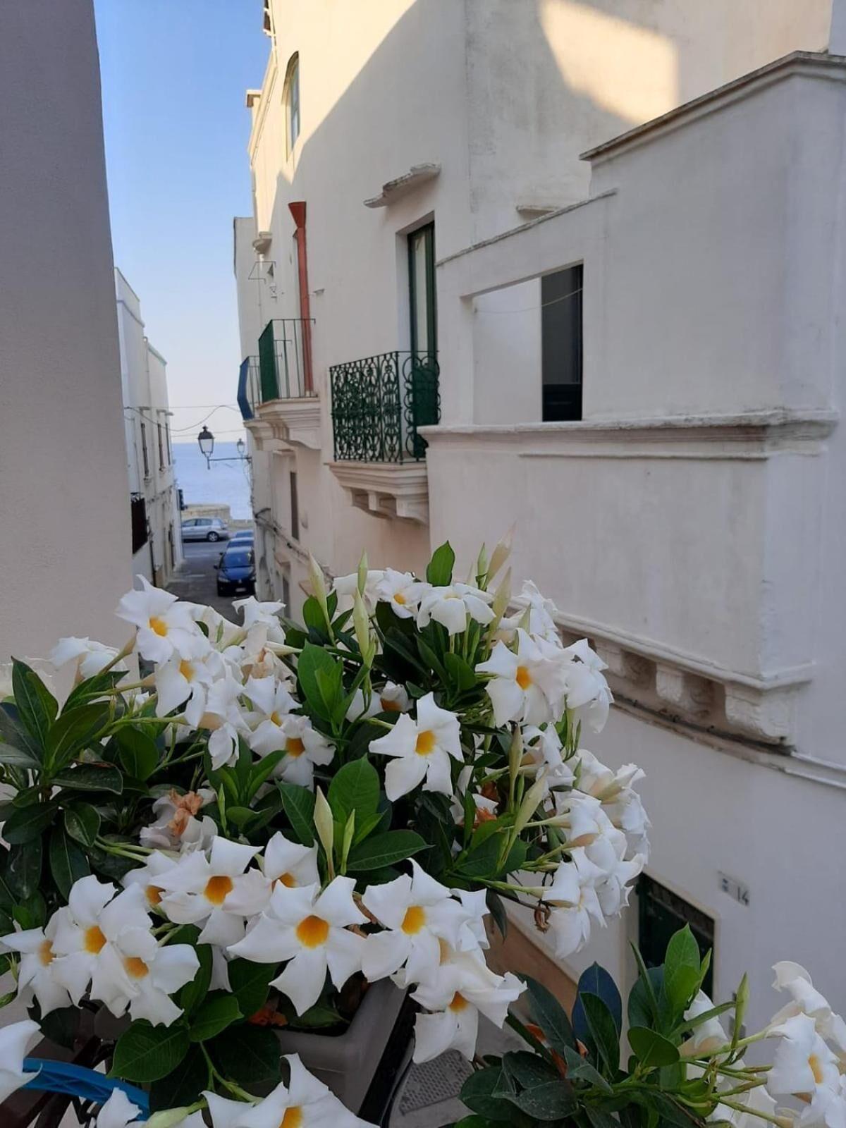 B&B Fiore