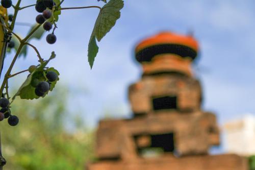 Corte Trullo Sovrano B&B