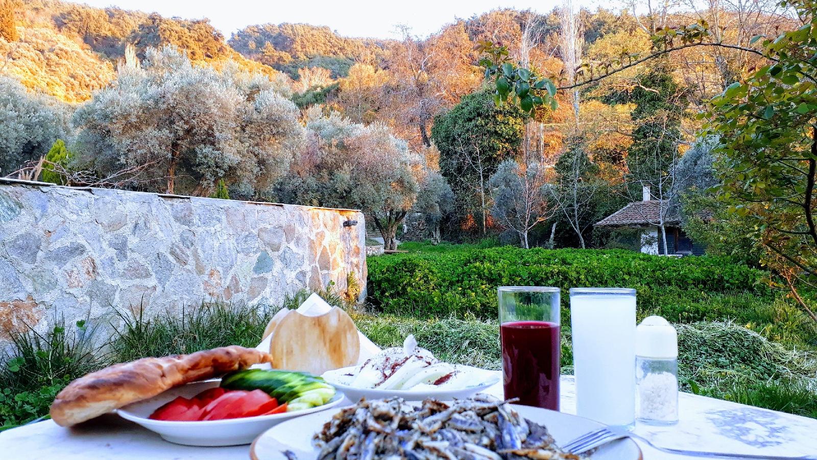 Kucuk Ciftlik Bungalow Evleri