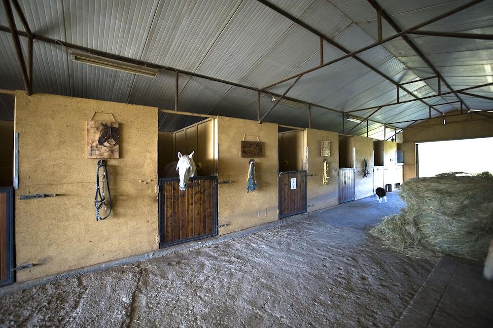 Toscana Ranch