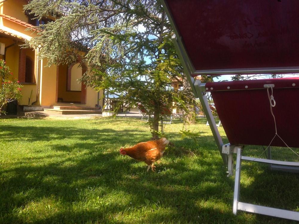 Toscana Ranch