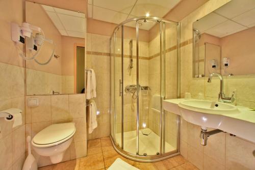 Hotel Le Lion d'Or