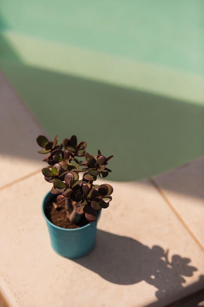 Benvenuti In Puglia B&B