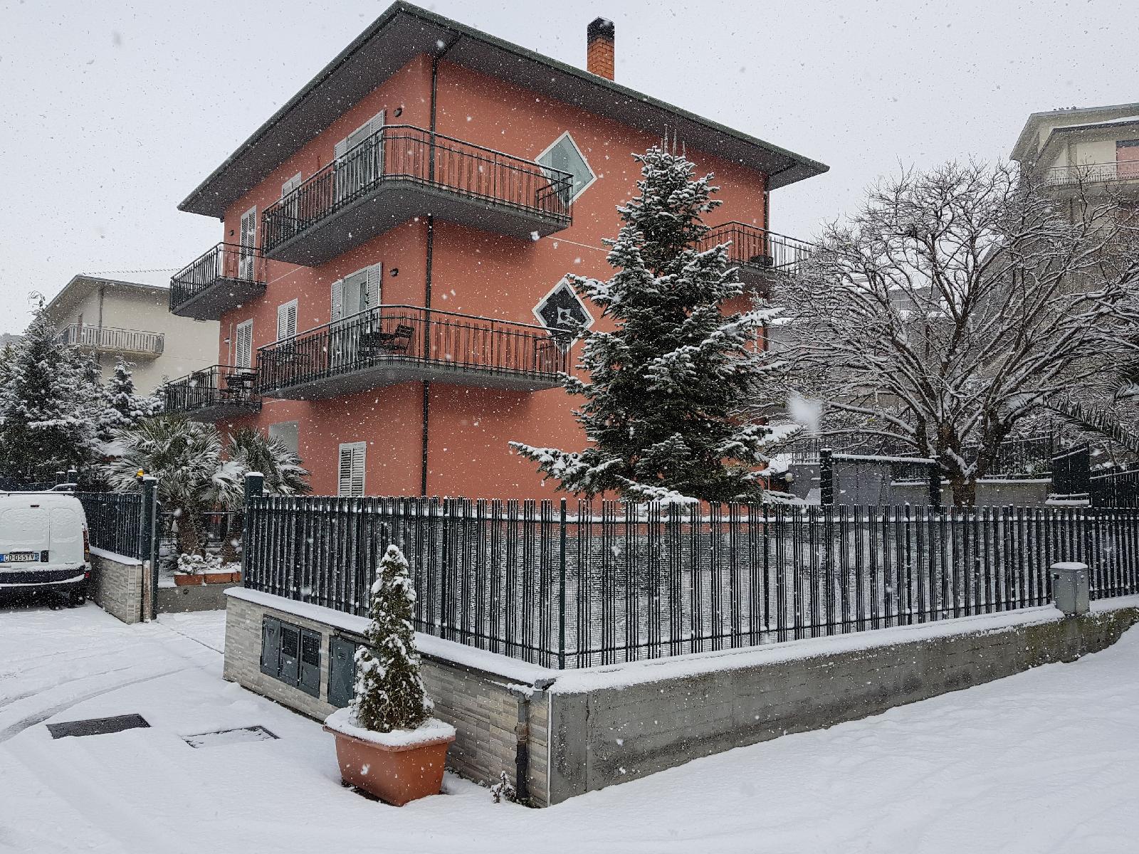 B&B Bluviro