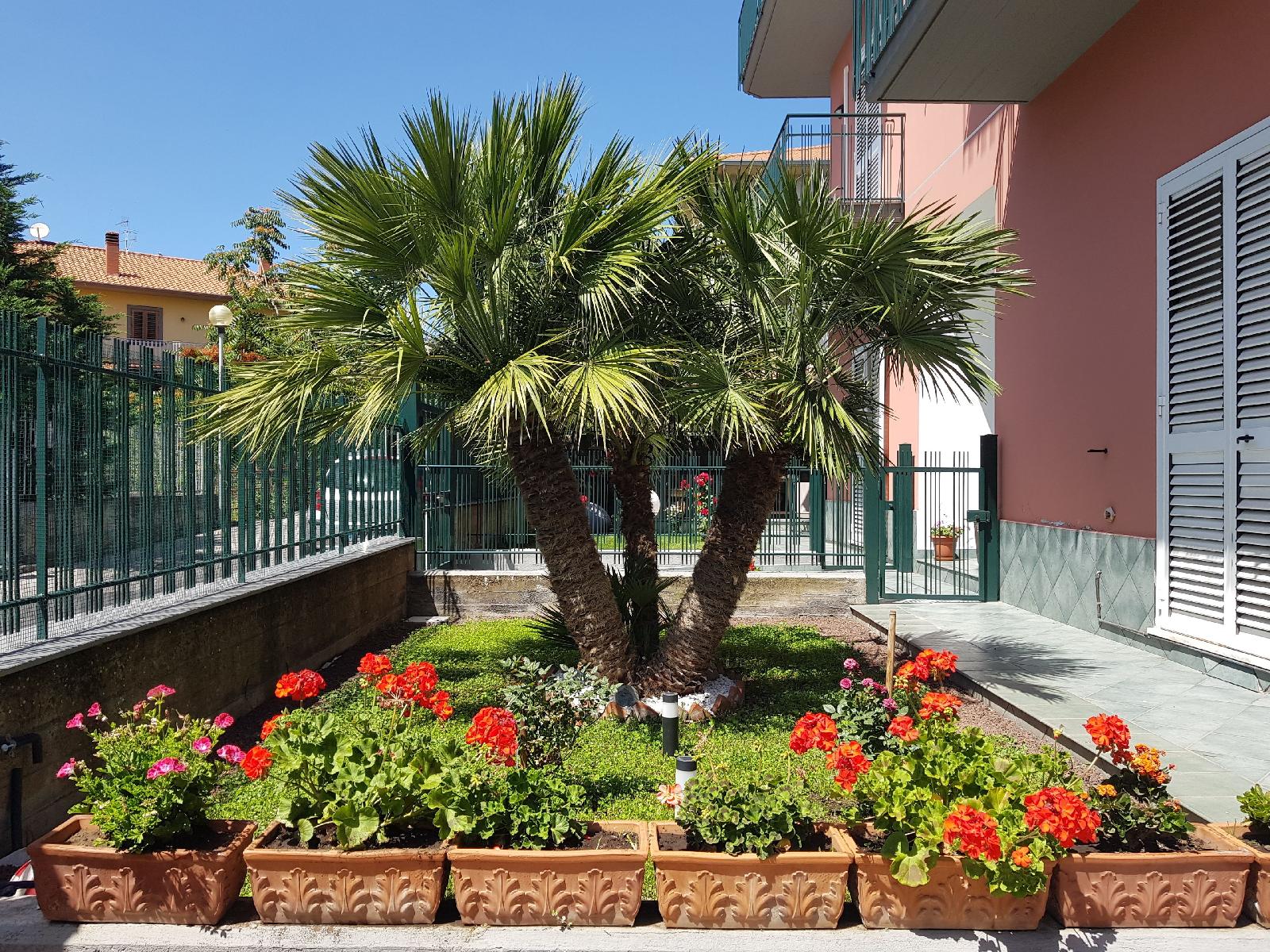 B&B Bluviro