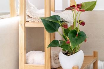 Scaligero Rooms
