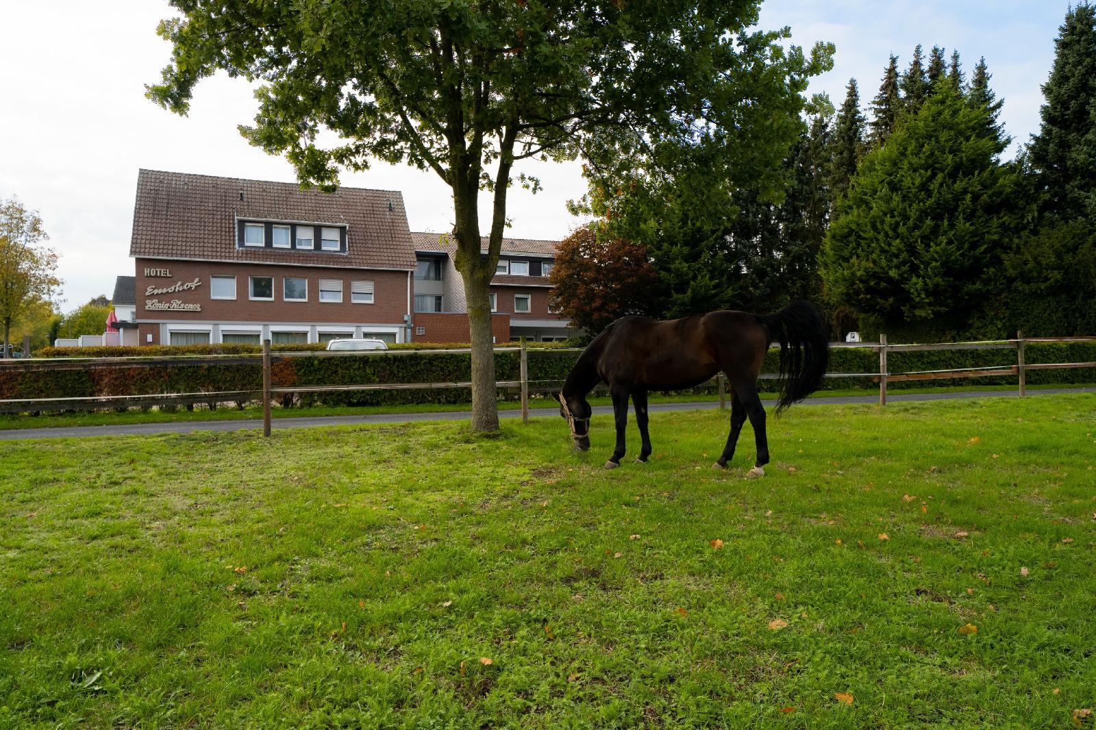 Hotel Emshof