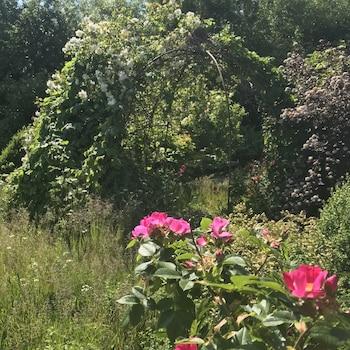 Lehnshoj Bed & Breakfast