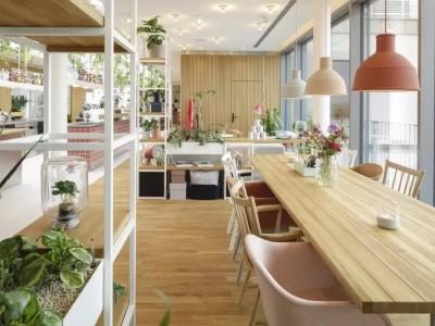 Zoku Vienna