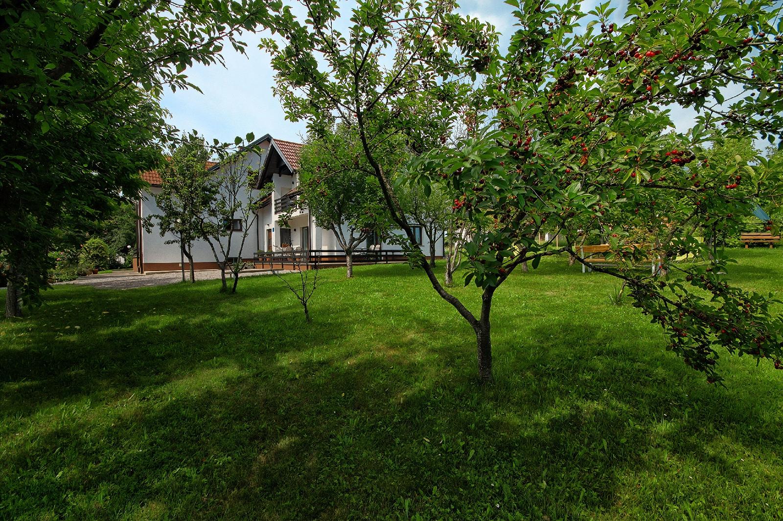Lagom Apartments