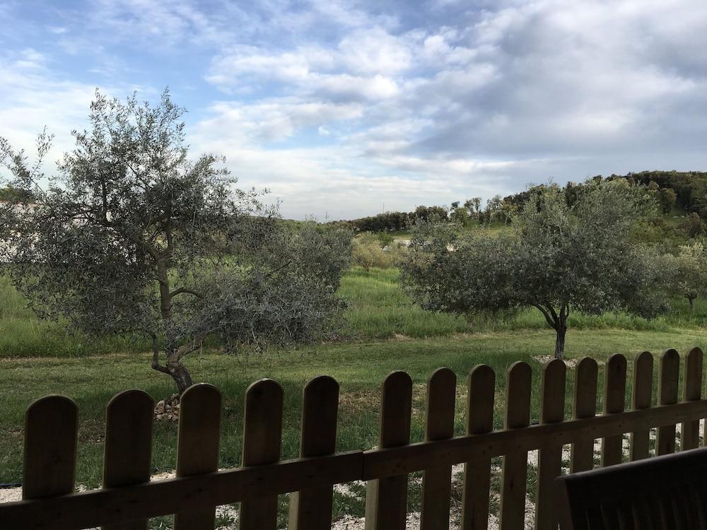 Il Giardino Degli Ulivi