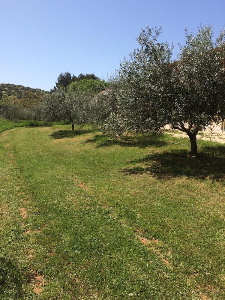 Il Giardino Degli Ulivi
