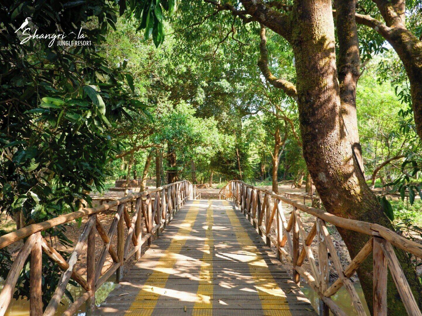 Shangri-La Jungle Resort